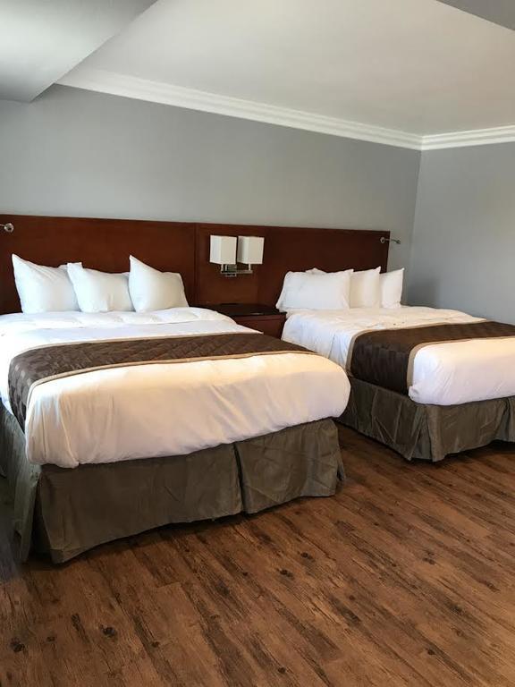 Rex Motel Ventura Ngoại thất bức ảnh